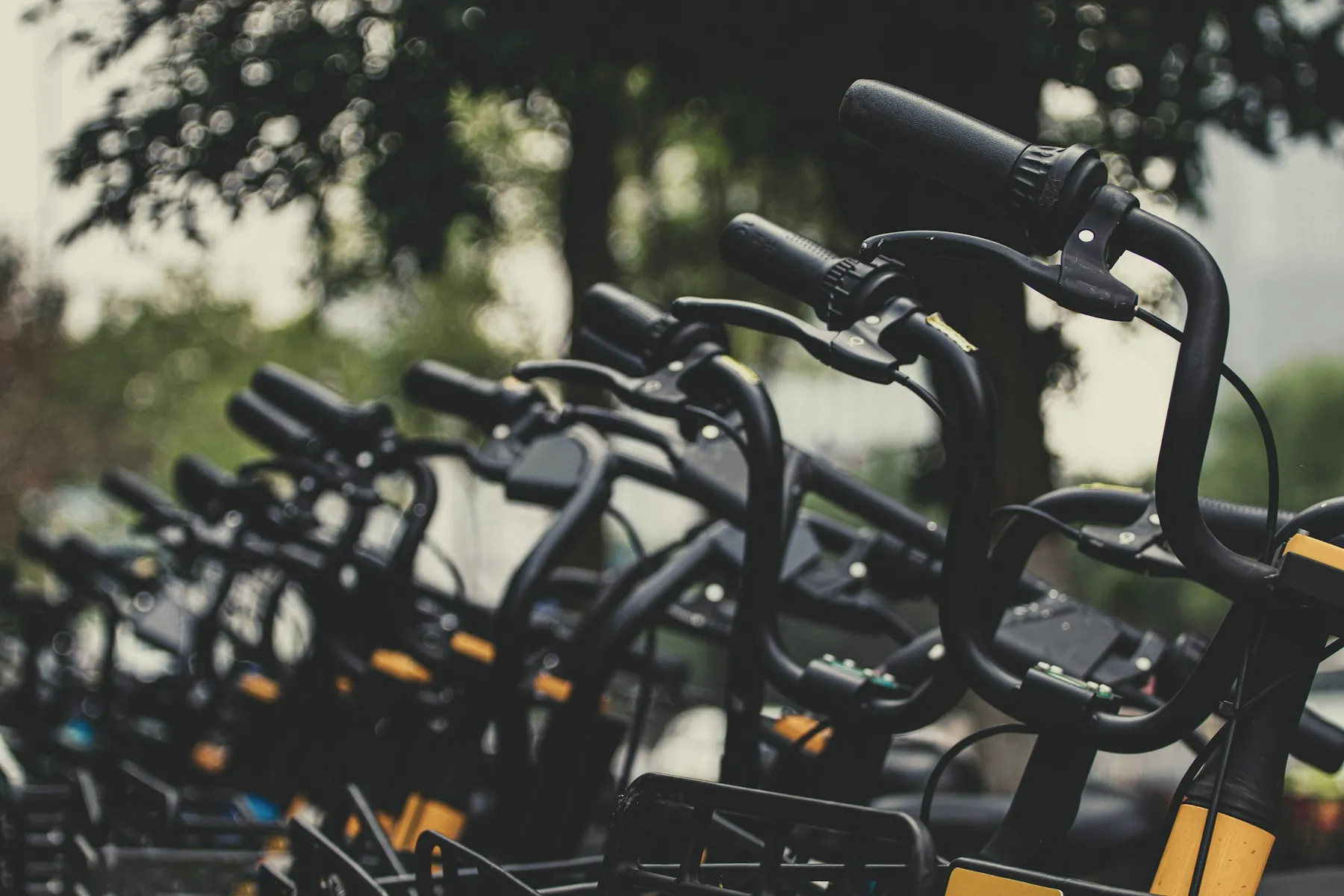 Bici a noleggio in fila, pronte per uscire